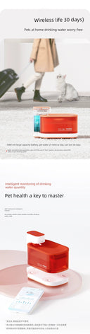 Pawaii Yi Claw Cat Dog Water Dispenser Water Purifier Feeder