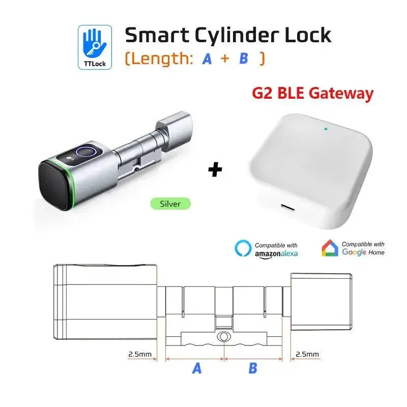 RayKube Door Lock Remote Access — Tuya-B Gateway