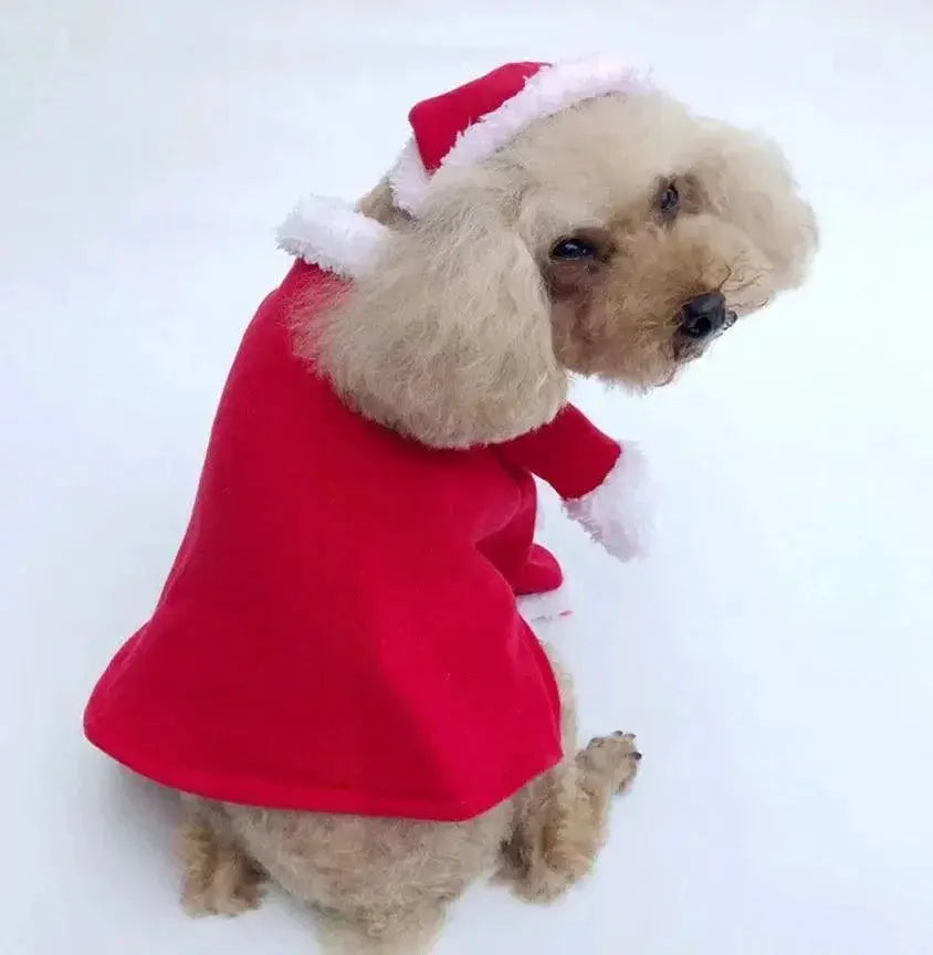 Adorable Santa Costume For Pets Warm Holiday Outfit