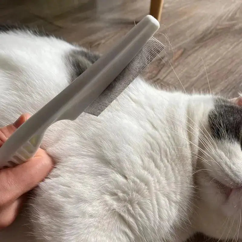 Pet Grooming Flea Comb With Hair Brush And Massage Tools