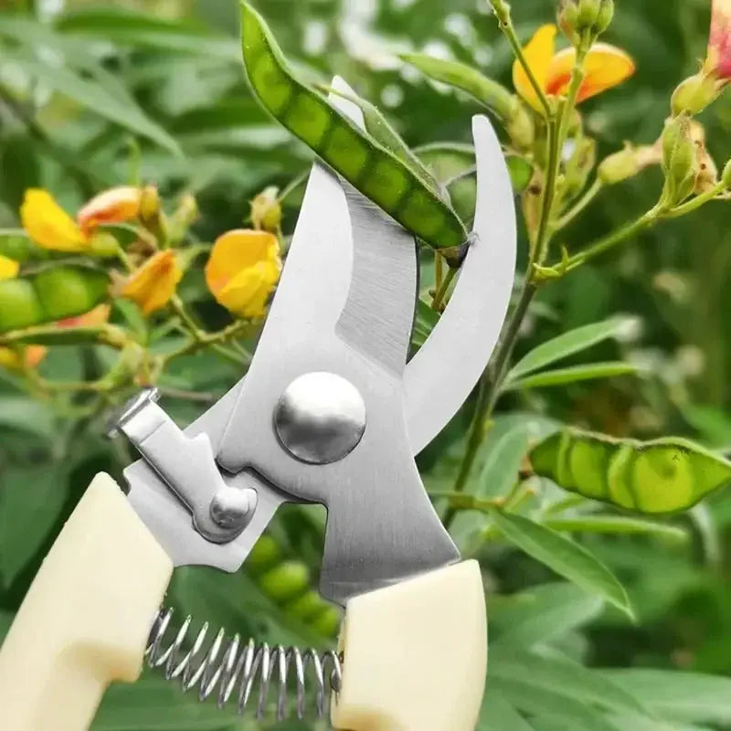 Stainless Steel Pruning Scissors For Flower Cutting