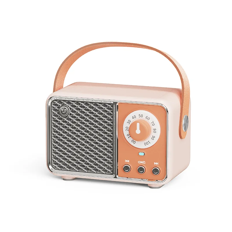 Bluetooth FM Radio Audio Speaker