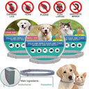 Dog Flea & Tick Collar - 8-Month Protection for Pets
