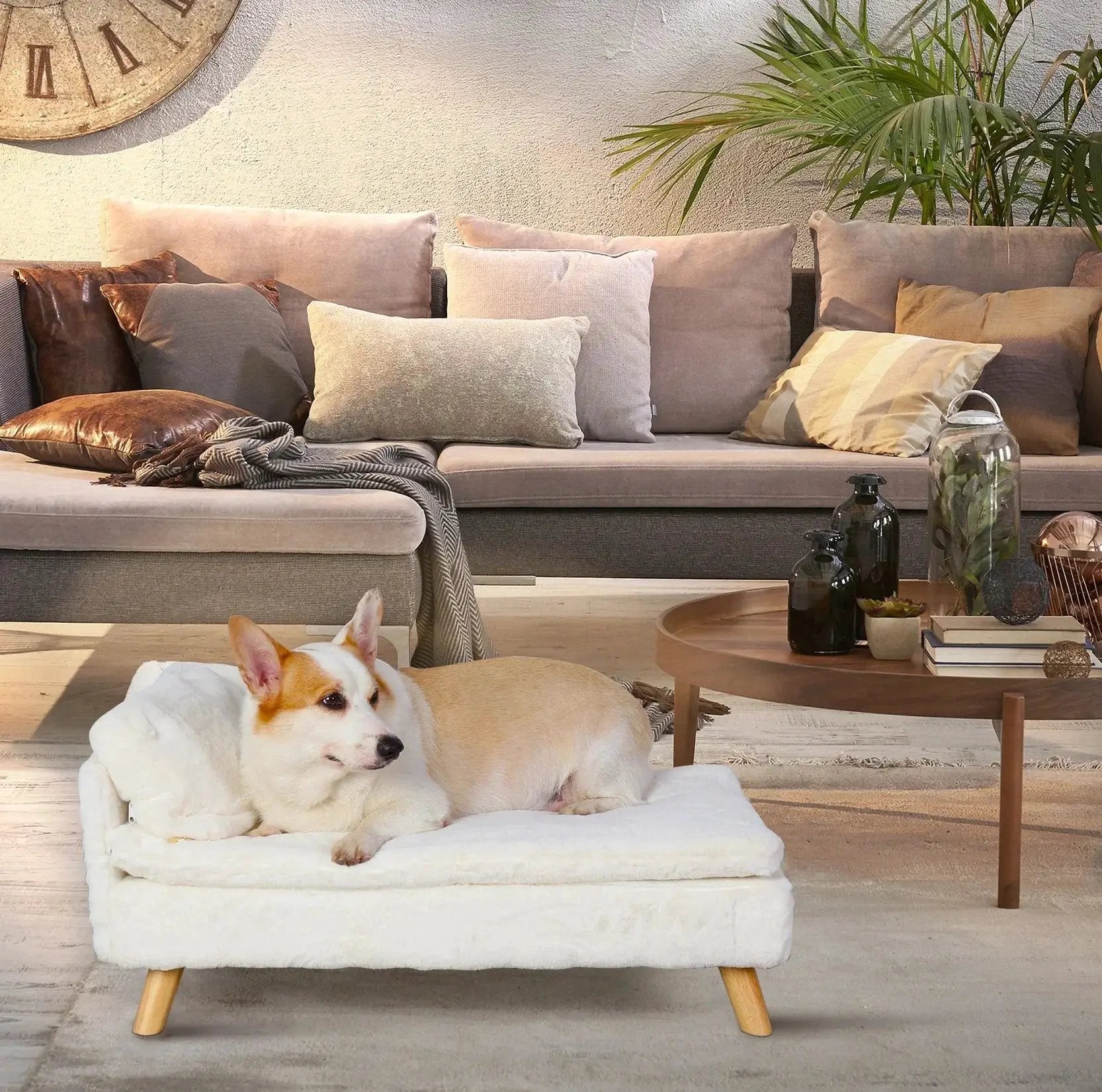 Nordic Elevated Pet Bed Stool With Cozy Pad For Small Pets
