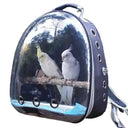 Clear View Bird Carrier Backpack Travel
