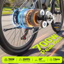 Fast Fat Tire Electric Bike