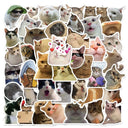 Funny Cat MEME Stickers Pack for Vibrant DIY Decor