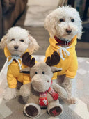 Lion King Anime Print Pet Hoodie for Cats and Dogs