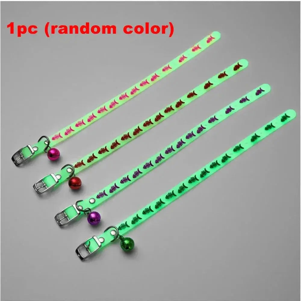 Glowing Cat Collar for Nighttime Safety — product view