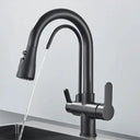 Filtered Water Kitchen Faucet For Homes