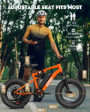 Qlife Fat Tire Ebike - Mile Range