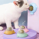 Catnip Rotatable Wall Ball Toy for Healthy Teeth Cleaning