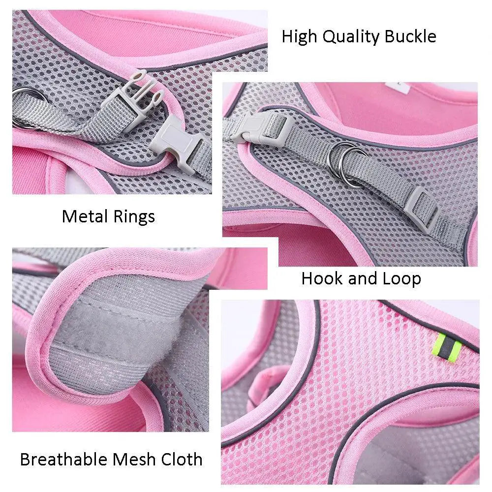Escape Proof Cat And Dog Harness Set With Leash For Pets