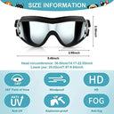 Dog Eye Safety Sunglasses and Helmet