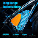 Eoeotwo High Power Fat Tire Ebike