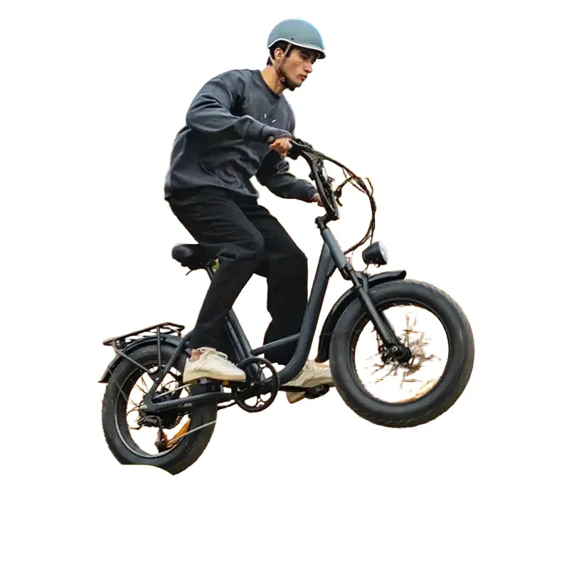 Urlife Fat Tire Ebike — product view 1