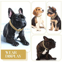 Diamond Dog Chain Collar: Stylish Metal Jewelry for Pets