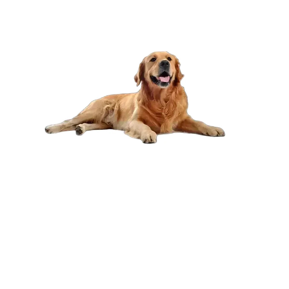 Cozy Plush Pet Bed Sofa - Large Dogs — product view 1