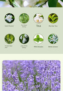 Aroma Diffuser Automatic Fragrance For Home Indoor Use