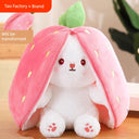 Pacify Transformation Bunny Girl Gift Ragdoll Doll For All Ages