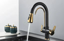 Filtered Water Kitchen Faucet For Homes