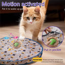 Interactive Cat Toys Ball Fast Rolling Pouch Kitten Toy
