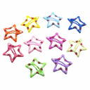 Colorful Bone Shape Dog Hair Clips for Grooming Essentials