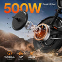 Urlife T16 500W Fat Tire Electric