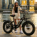 1000W Fat Tire Electric Bike For Adults