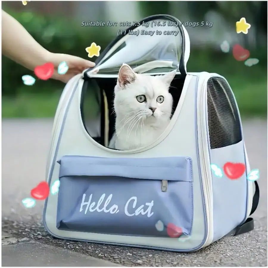 Ventilated Pet Travel Carrier Backpack