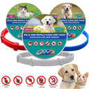 Veterinary Anti-Flea Tick Collar Adjustable for Cats Dogs