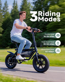 Dyu Mini Folding Fat Tire E Bike