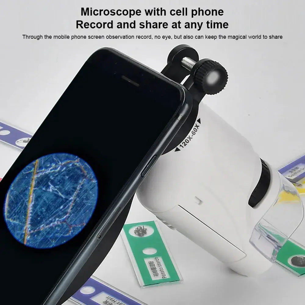 Mini Pocket Microscope Kit 60-120x LED Light For Kids - OurLum.com