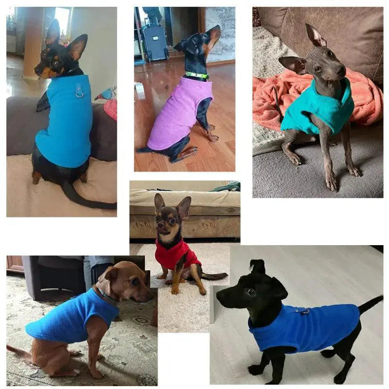 Cozy Winter Dog Jacket Warm Fleece For Small Breeds