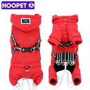 Warm Dog Jacket for Small to Medium Dogs