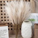 Elegant Boho Fluffy Pampas Grass for Weddings and Home Decor