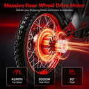 Electric Dirt Bike Raw Off