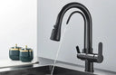 Filtered Water Kitchen Faucet For Homes