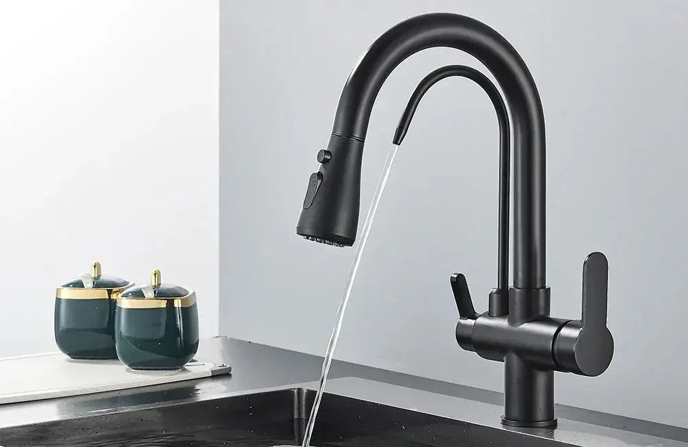 Filtered Water Kitchen Faucet - Homes — product view 18