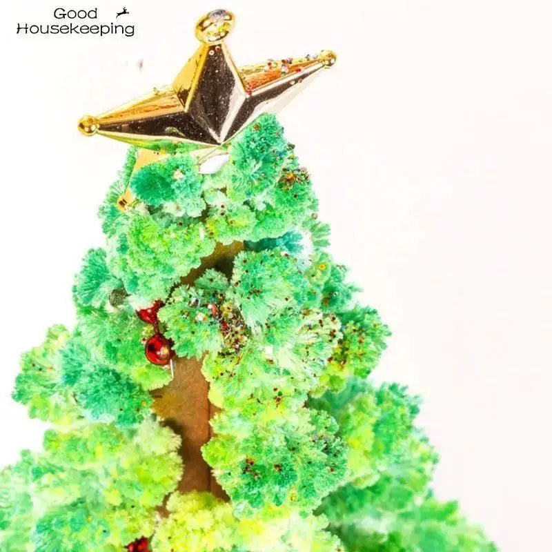 DIY Magic Growing Christmas Tree Toy For Fun Xmas Decor