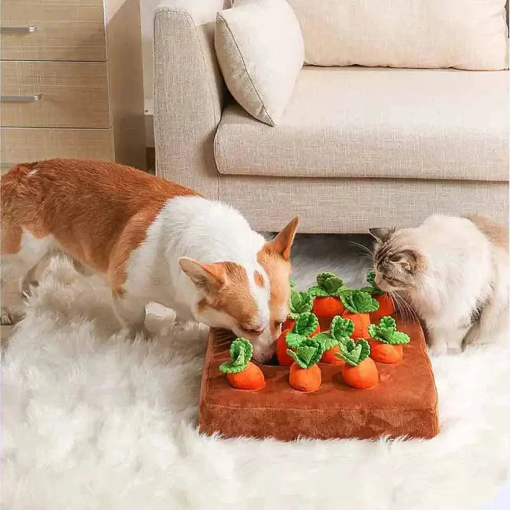 Carrot Snuffle Mat For Dogs Cats Puzzle Toy With 12 Carrots
