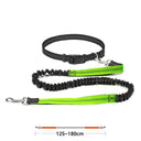 High Quality Hands-Free Dog Leash with Dual Bungee for Large Dogs