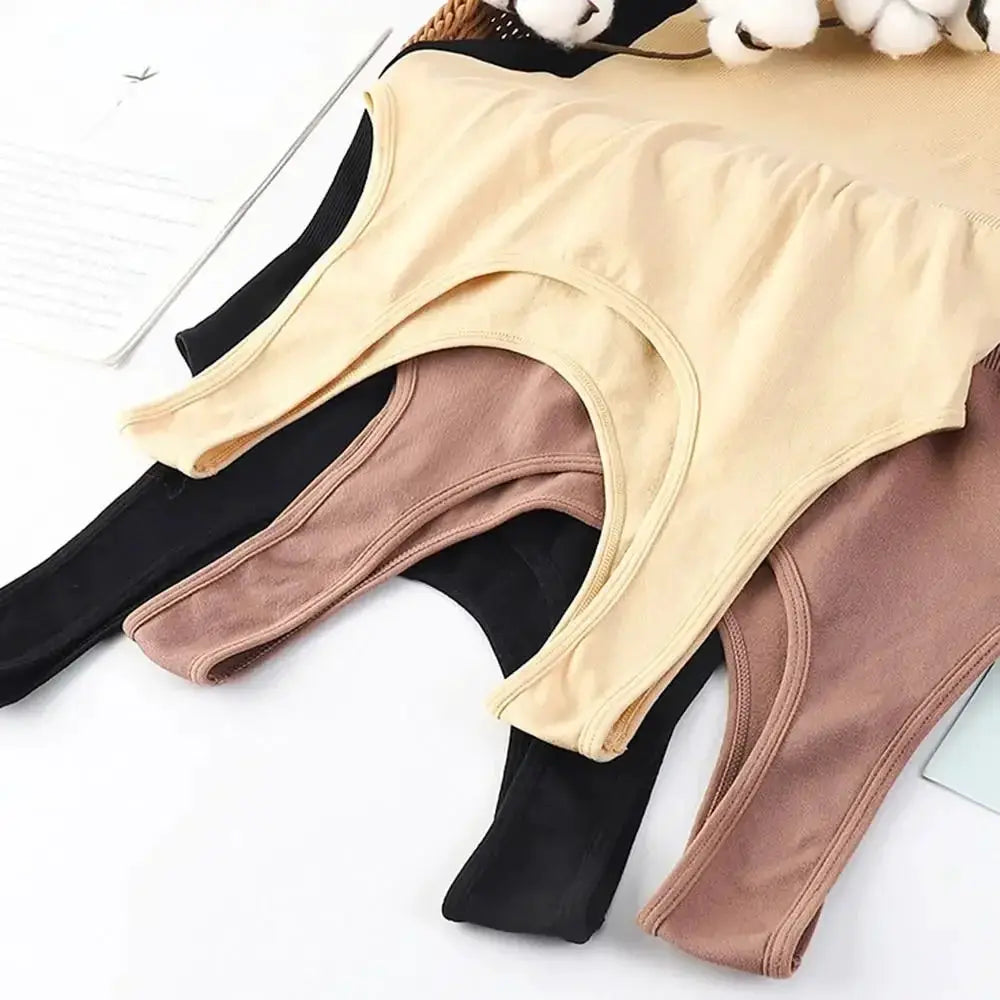Women Underwear Abdomen Corset Body Shaping Briefs Set