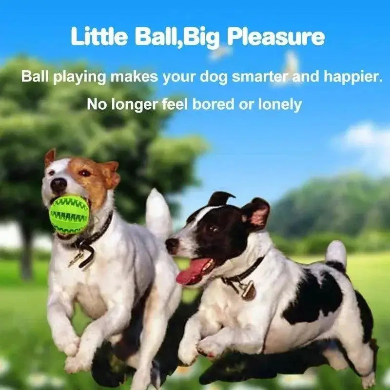 Eco Friendly Rubber Dog Dental Ball Chew Toy Snack Dispenser