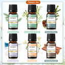 EUQEE 6 Piece Fragrance Oil Gift Set For Diffuser Oils