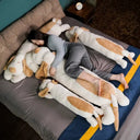 Sleep Aid Dog Plush Pillow for Kids