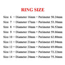 Stainless Steel Punk Roman Numeral Unisex Ring