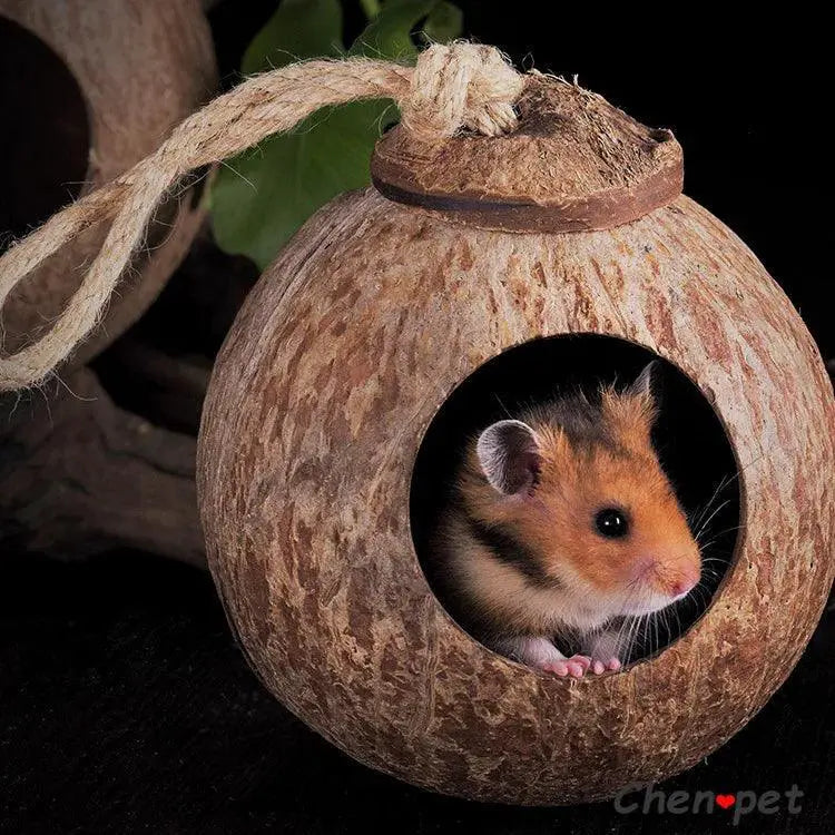 Natural Coconut Small Pet Cage And Wooden Hamster House