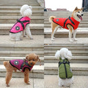 Warm Winter Dog Coat Vest for Chihuahuas