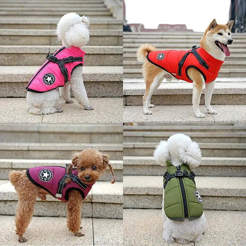 Winter Dog Coat Vest for Small Chihuahuas Warm Stylish
